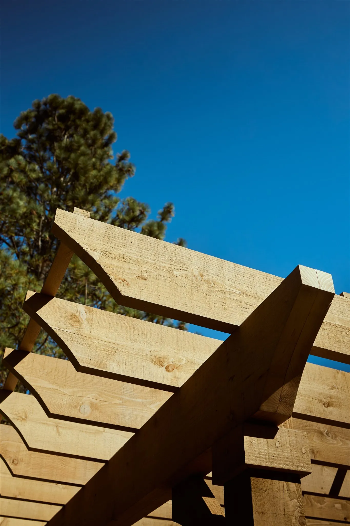 Detailed exterior trim painting work on Victoria heritage home